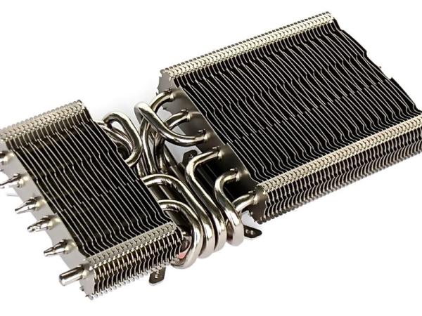 Alpenföhn Peter 2