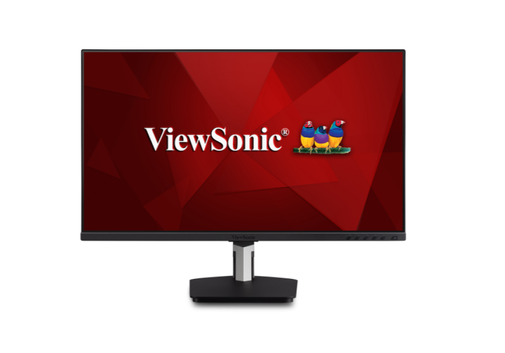 Viewsonic TD2455