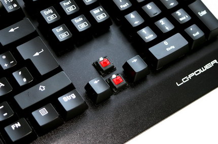 Die Cherry MX-Red Taster unter den Tastenkappen