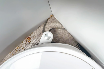 Eckenreinigung mit der Flexibürste